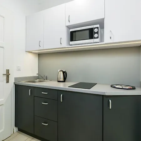 Apartment Old Town Swiety Wojciech Street - By Renters Poznan